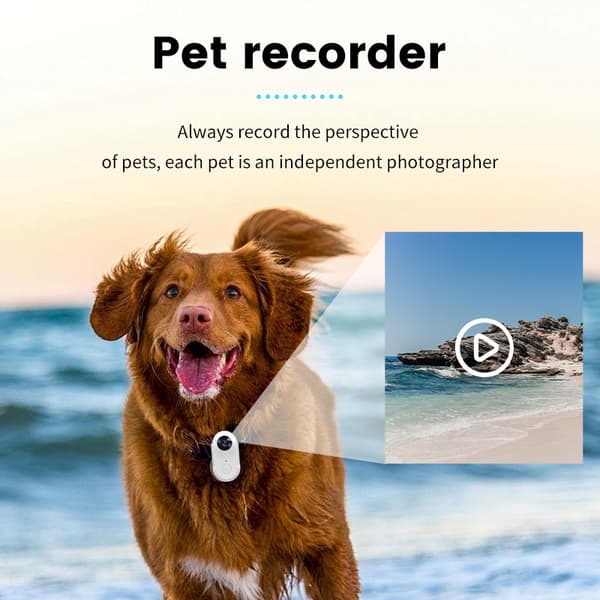 INF Sports Action Camera Pet Camera Sort