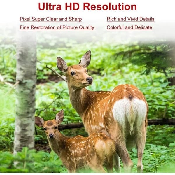 Full HD digital kamera Rotation 270 ° 1080P 16X DV kamera video Hög upplösning Professionell videokamera för fê