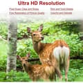 Miniatyrbild 3 av 4: Full HD digital kamera Rotation 270 ° 1080P 16X DV kamera video Hög upplösning Professionell videokamera för fê