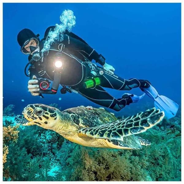 Sealife Reefmaster RM-4K Pro 2000 Set (SL354)