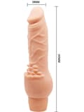 Miniatyrbild 7 av 7: Barbara Clark: Realistisk Multi-Speed Vibrator, 19.5 cm