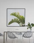Miniatyrbild 2 av 11: Set med 4 matstolar Grå Plast Urklippt Modern