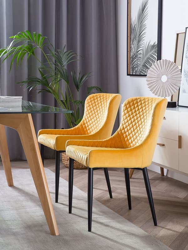 Et sæt med 2 polstrede stole i gul velour med sorte metalben til en spisestue i retro glamourstil