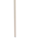 Miniatyrbild 9 av 10: Uppsättning med 2 matstolar Beige Plast Modern Modern Design Sittplatser i Matsalen