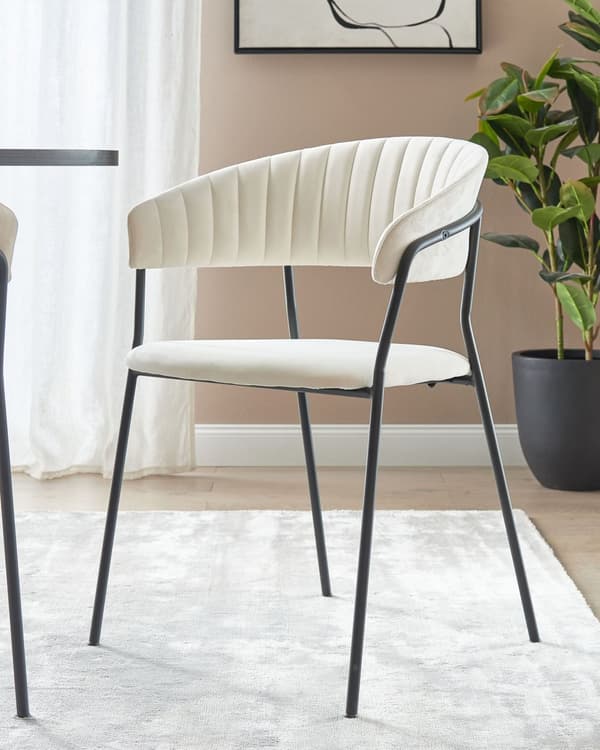 Uppsättning med 2 matstolar Klädsel i krämfärgad sammet Svarta metallben med armstöd Böjt ryggstöd Modern och samtida design