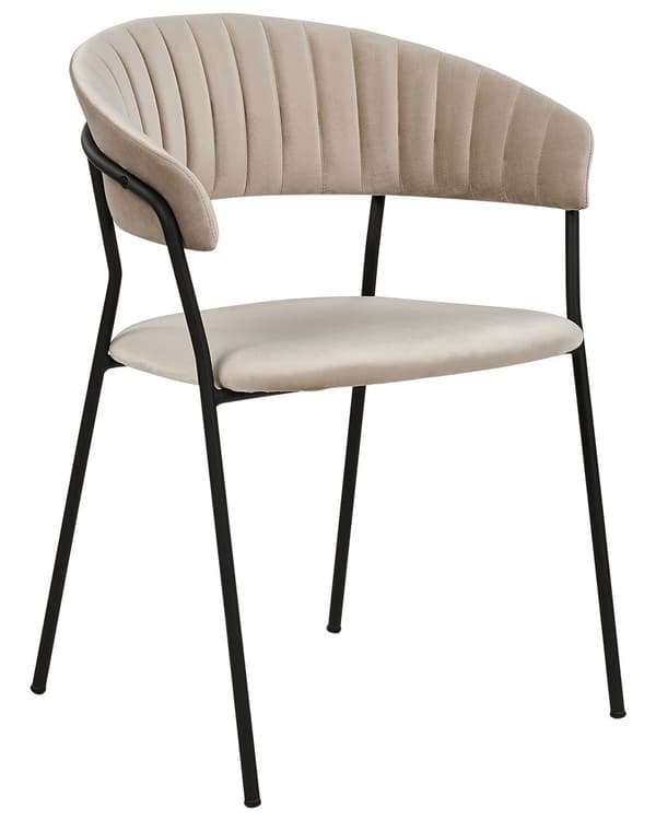 Uppsättning med 2 matstolar Taupe sammet tygklädsel Svarta metallben med armstöd Böjt ryggstöd Modern modern design