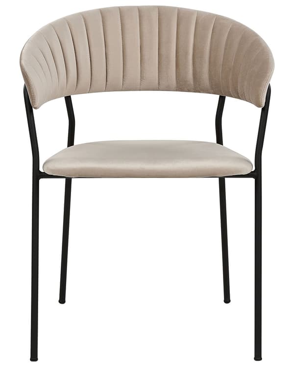 Uppsättning med 2 matstolar Taupe sammet tygklädsel Svarta metallben med armstöd Böjt ryggstöd Modern modern design