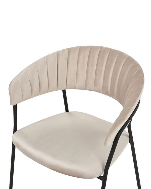 Uppsättning med 2 matstolar Taupe sammet tygklädsel Svarta metallben med armstöd Böjt ryggstöd Modern modern design