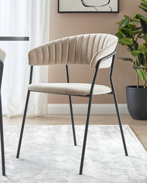 Uppsättning med 2 matstolar Taupe sammet tygklädsel Svarta metallben med armstöd Böjt ryggstöd Modern modern design