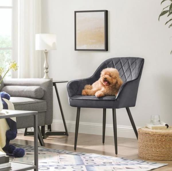 Rootz Matstol - Fåtölj - Klädd - Armstöd - Metall - Sammet - Grå - 62,5 x 60 x 85 cm