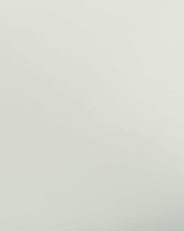 Uppsättning med 2 matstolar Vit Stapelbar Armless Benskydd Plast Konferensstolar Samtida Modern Design Matrum Sittplatser