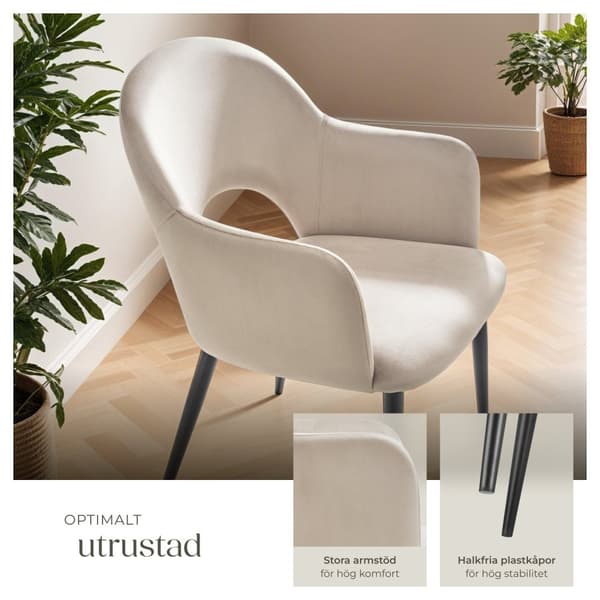 Sachel fåtölj, sammetslook, klädd, 120 kg - creme, Uppsättning om 6