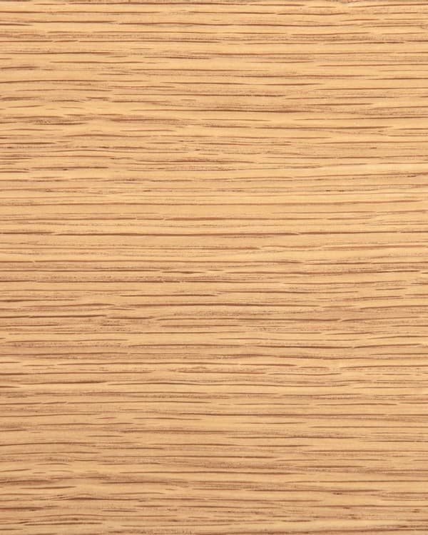 Matstolar 2-pack Ljust Trä och Beige Polyester Boucle Tyg Böjträben Retro Traditionell Stil