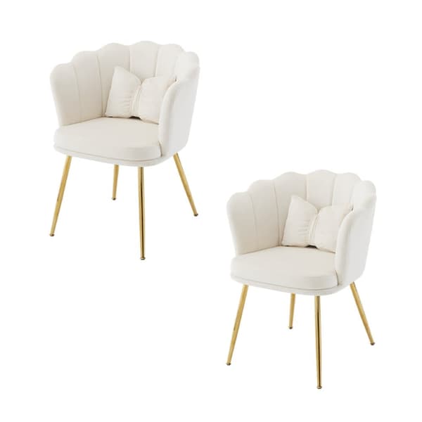 2 samettituolin sarja - terälehden muotoisella selkänojalla - kultaiset metallijalat - beige