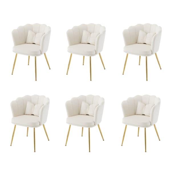 6 samettituolin sarja - terälehden muotoisella selkänojalla - kultaiset metallijalat - beige