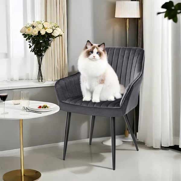 Rootz elegant matstol - fåtölj - Velvet Seat - Comfort Padding - 62,5 cm x 60 cm x 85 cm - Stöd upp till 110 kg