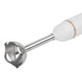 Miniatyrbild 3 av 4: Adler Stavmixer