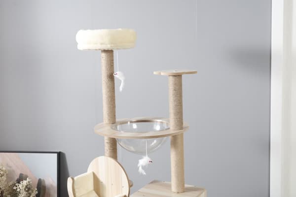 LIVIT Premium Katt Hus med Klösträd, Beige, 40x60x155 cm