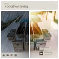 Miniatyrbild 10 av 11: Matgrupp New York i konstrotting - natur