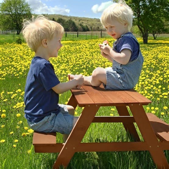 Trin 2 - Dave Picnic Bord Brun