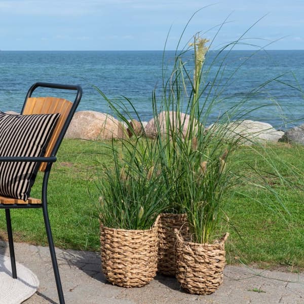 Hue plantetilfluktsrom sett med 3 stk. utendørs natur.
