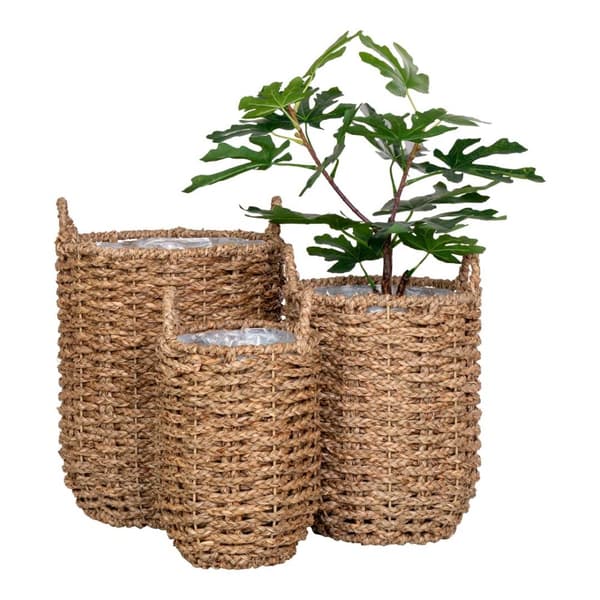 Hue plantetilfluktsrom sett med 3 stk. utendørs natur.