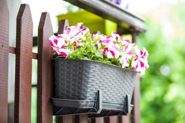 Balkonkasse grå rattan 40 cm