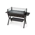 Miniatyrbild 1 av 8: Grill med kol, 38,5x16,5x27 tum, Brun