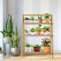 Miniatyrbillede 7 af 8: Plantestativ, Sammenklappeligt bambus plantestativ, 70x38x95.5 cm, Naturlig
