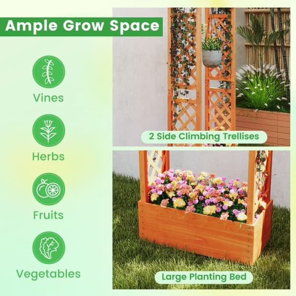 Planter med Espalier, 66x32x152 cm, Orange