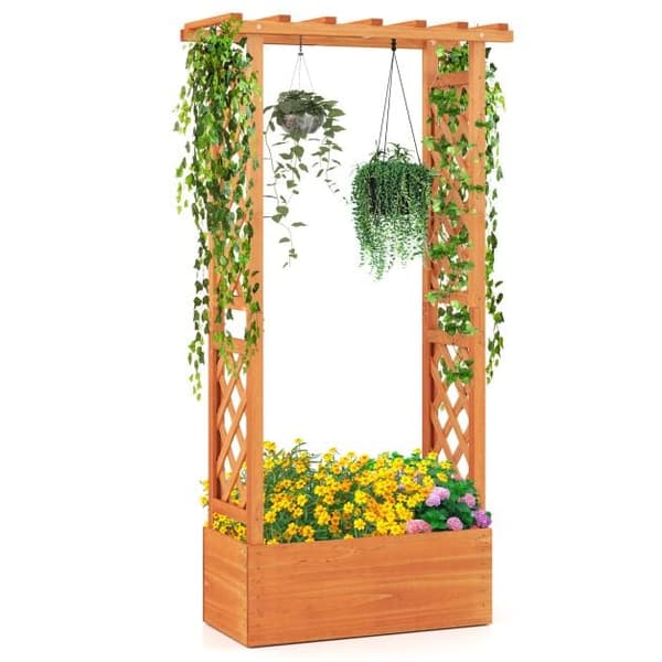 Planter med Espalier, 66x32x152 cm, Orange