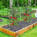 Pikkukuva 2 / 8: Puutarhan köynnöstuki, 3 kpl puutarhan köynnöstukea 40"/60" korkeat kasvituet klipsien ja sidosten kanssa-S, 20x40"/20x60", Vihreä