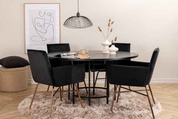 Matgrupp Copenhagen med stolarna Petra