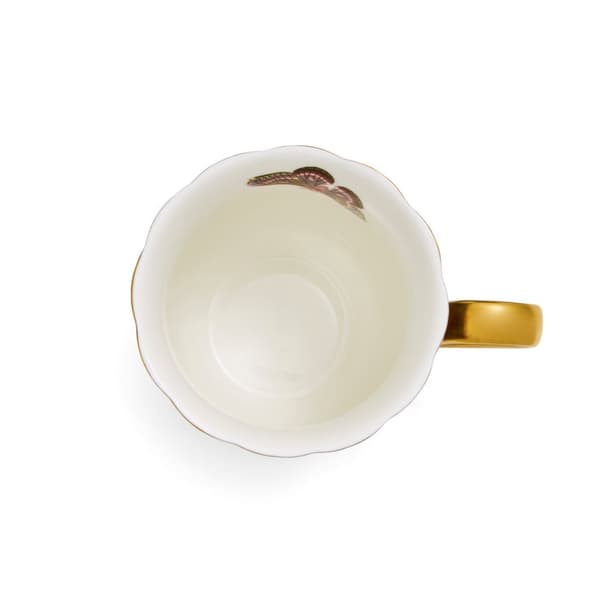 Creatures of Curiosity Mugg Svart 34cl