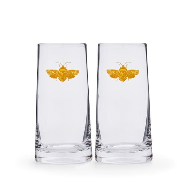 Creatures of Curiosity Highball 42,6cl 2-pack