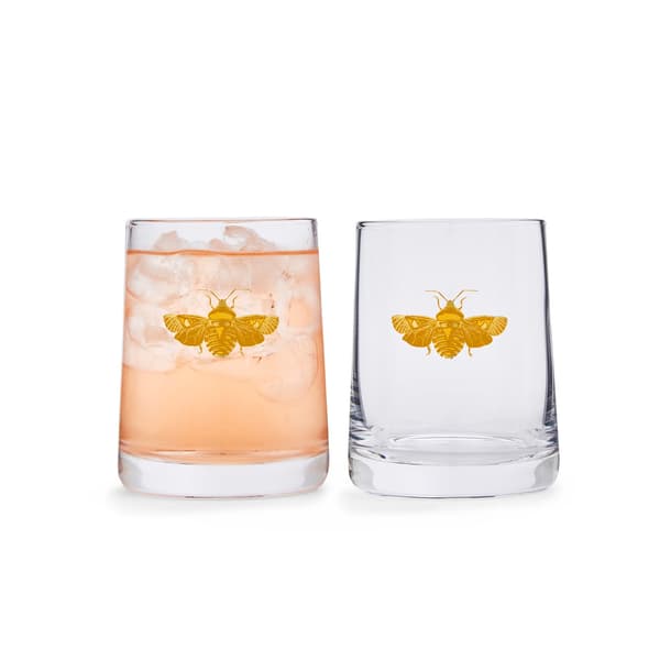 Creatures of Curiosity Tumbler 2-pack 0,31 L