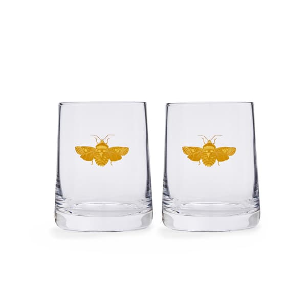 Creatures of Curiosity Tumbler 2-pack 0,31 L