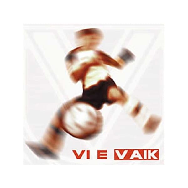 Vi e VAIK