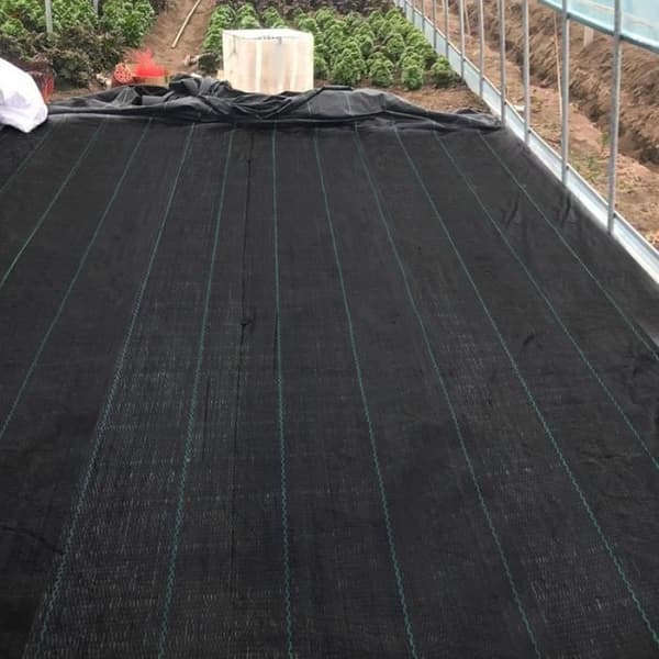 YUENFONG Mulchduk, Anti Ogräs 100 g-m², Rivbeständig, Anti-UV och vattengenomsläpplig, Svart (2×10 m)