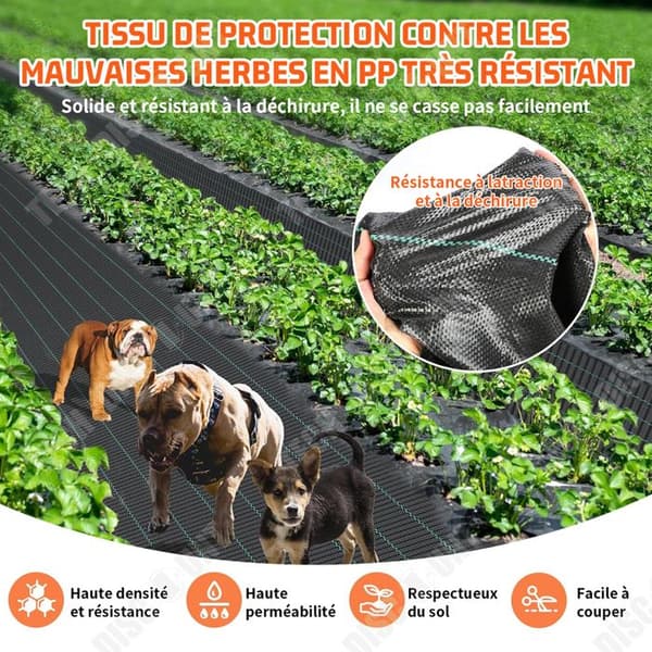 TD Mulchduk 1x20m geotextil anti-ogräs presenning anti-återväxt geotextil Gräsbeständig polypropen presenning