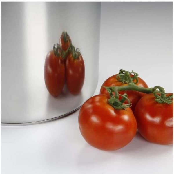 BAUMALU Catering i rostfritt stål + glaslock - 30 cm