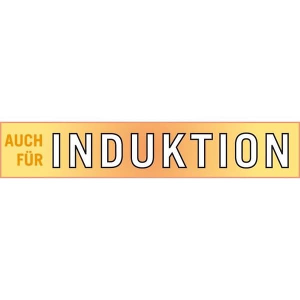 Lågtryckskokare - GSW - 24 cm - 4 L - Smidd aluminium - Induktion - Svart