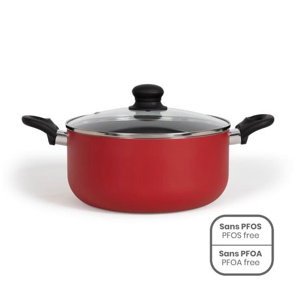 24 cm holländsk ugn - LIVOO - MEP150R - Non-stick utan PFOA eller PFOS - Silikonhandtag - Passar alla hällar inklusive induktion