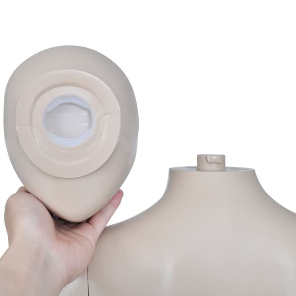 vidaXL mannequin kvinde rundt hoved