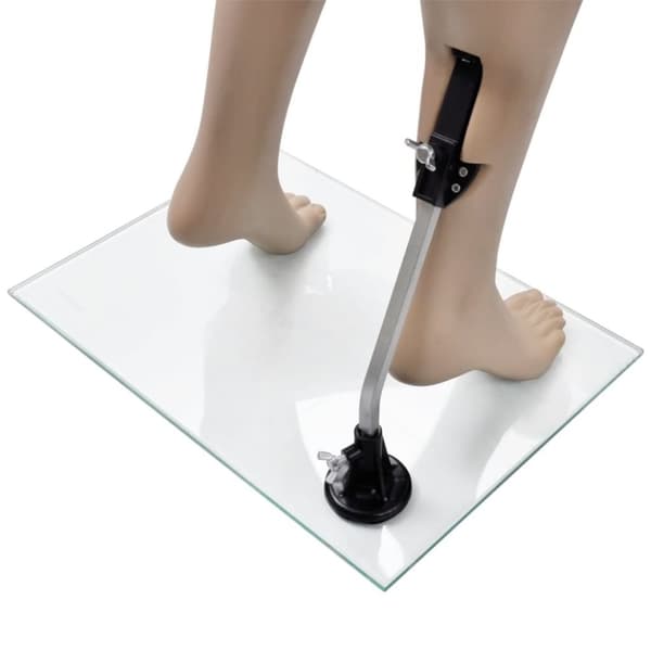 vidaXL mannequin kvinde rundt hoved