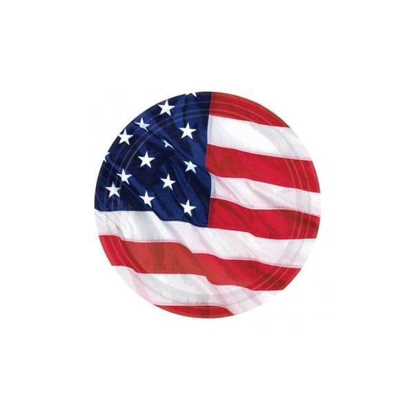 Amscan Paper American Flag Disposable Plates (Pack of 10) Red/White/Blue One Size