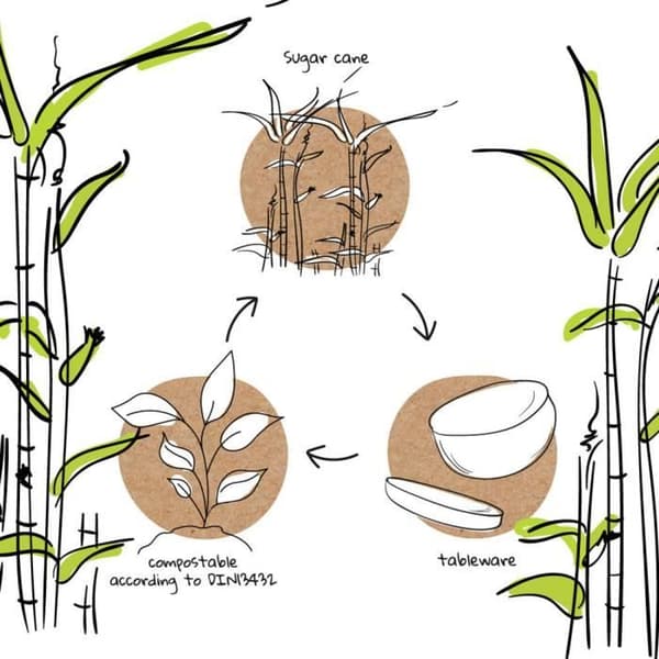 Engångstallrik - BIOZOYG - Rund tallrik av sockerör - Naturlig vit - 18cm