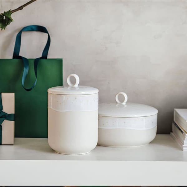 Engångsservis Villeroy - boch - 14-8671-4558