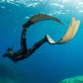 Miniatyrbillede 4 af 5: Seacsub Spearfishing Finner Motus Grå EU 47-48