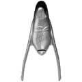 Miniatyrbild 1 av 3: C4 300 Footpockets Silver EU 40-41
